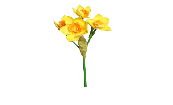 Narzissen-Pick 44 cm
