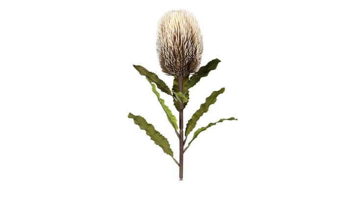 Protea 65 cm aus Kunststoff mit grünen Stiel und Blätter und weißer Blüte.