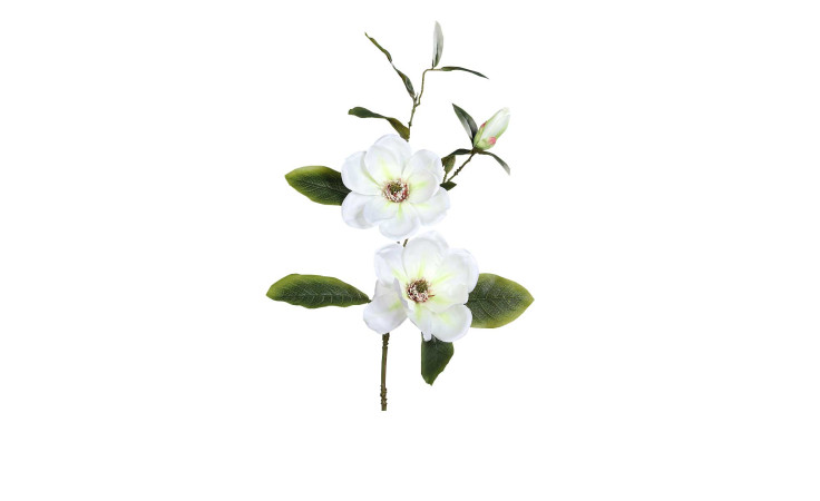Magnolien-Zweig 70 cm aus Kunststoff mit weißen Blüten, grünen Blätter und braunen Stiel.