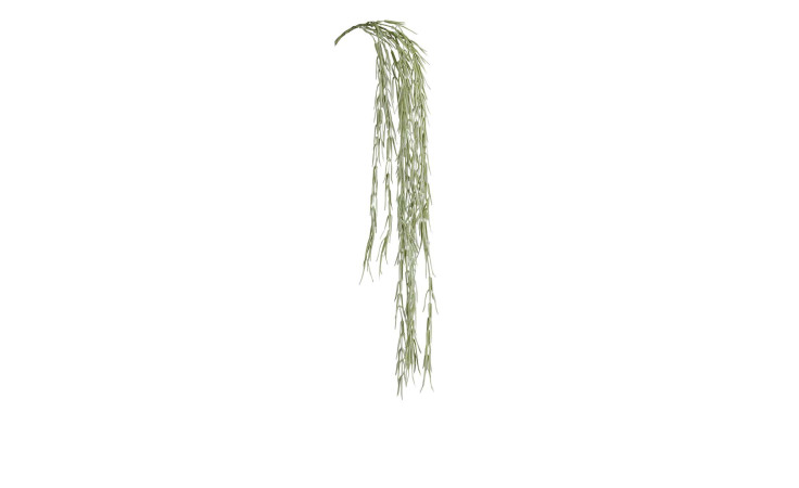 Sukkulenten-Hänger 90 cm aus Kunststoff in grün.