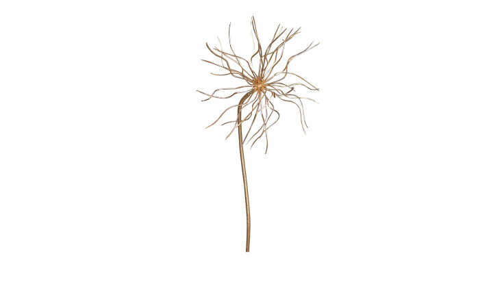 Spiderallium 62 cm aus Kunststoff in gold.