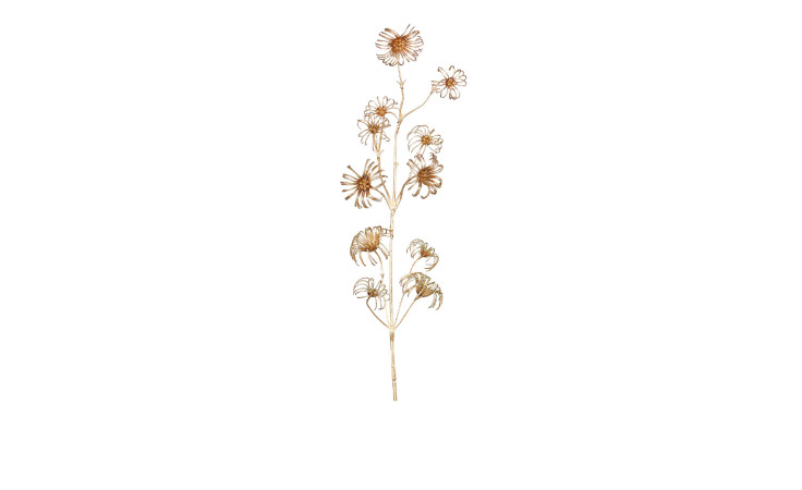 Clematisfruchtstand mit Glitzer 108 cm aus Kunststoff in gold.