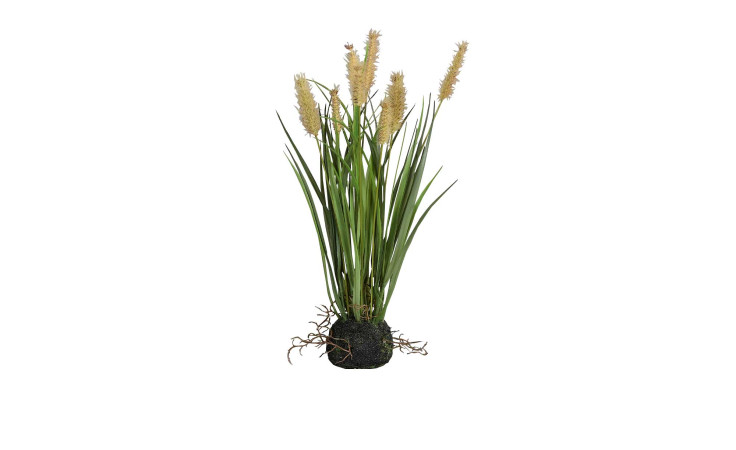 Gras m. Fruchtstand 40 cm in grün
