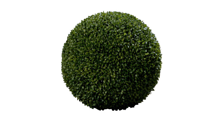 Buchskugel 45 cm