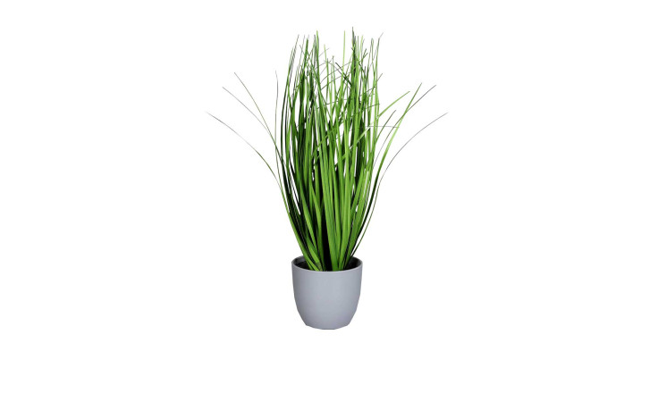 Grasarrangement 38 cm in einem grauen Pflanztopf