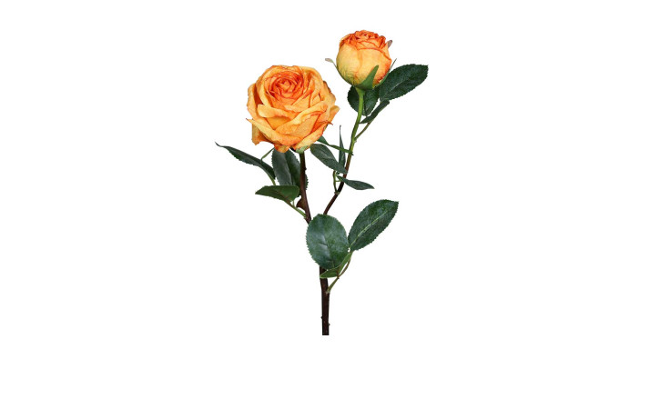 Rose 57 cm in orange