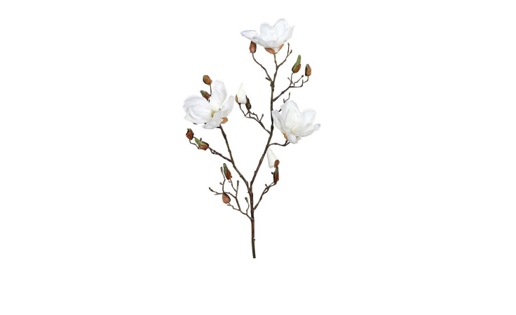 Magnolie 87 cm in beige