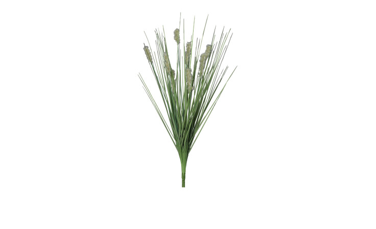 Gras mit Fruchtstand 50 cm