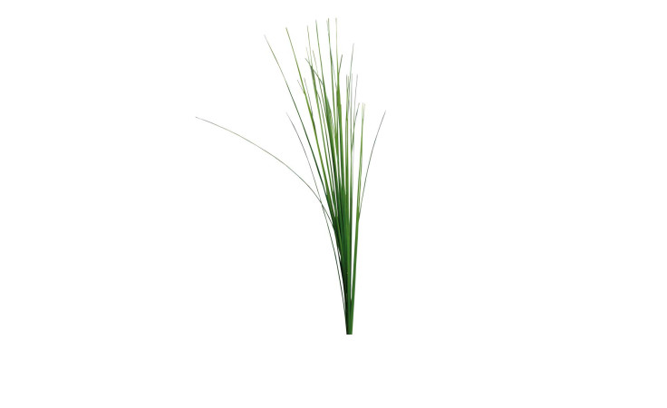 Isolepsis 70 cm aus Kunststoff in grün.