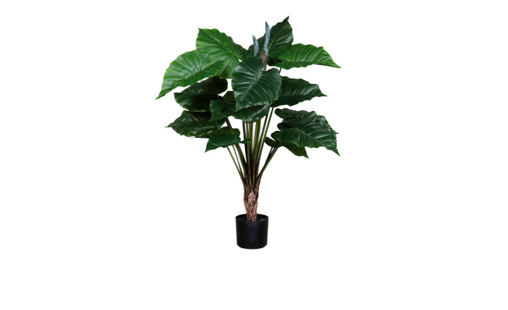 Taro 100 cm 