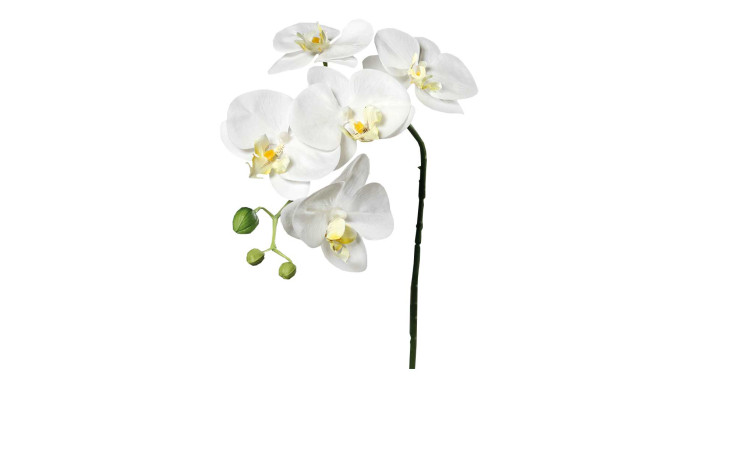 Orchidee 52 cm aus Kunststoff mit weißen Blüten und einem grünen Stiel.