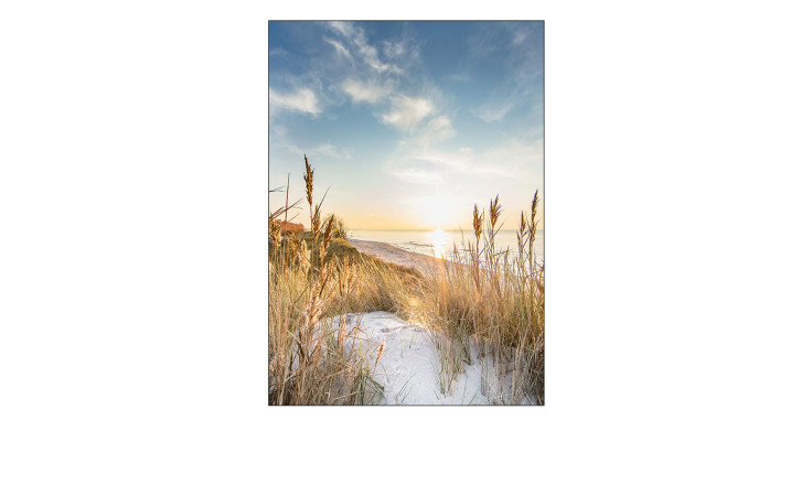 Alubild Wilder Strand 70 x 100 cm, Standausblick