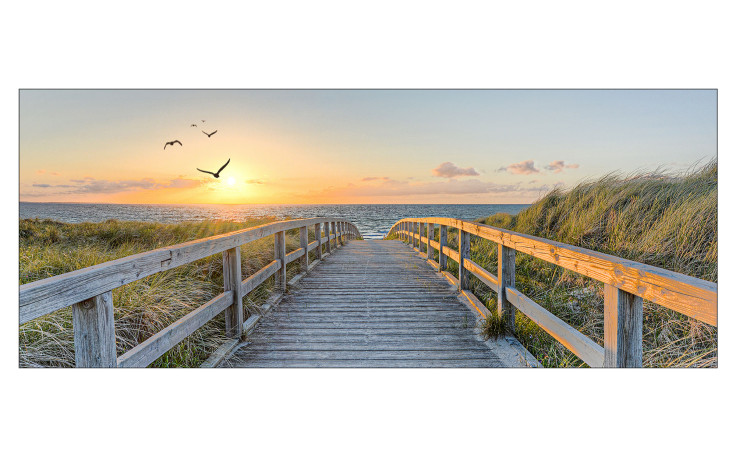 Glasbild Birds Above Lost Sea 50 x 125 cm, Strandlandschaft