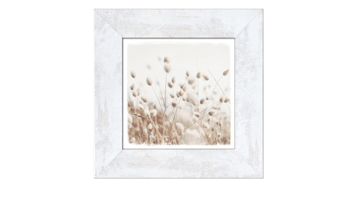 Rahmenbild Dried Fiber in the Wind 44 x 44 cm. Rahmenbild mit dem Thema - Natur.