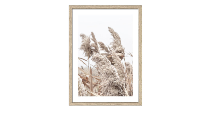 Rahmenbild In the Breeze 55 x 75 cm. Rahmenbild mit dem Thema - Natur.