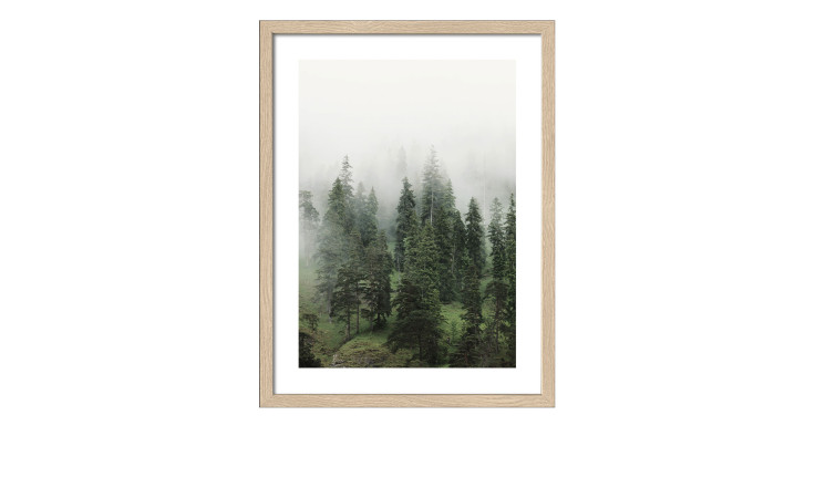 Rahmenbild Foggy Trees 33 x 43 cm