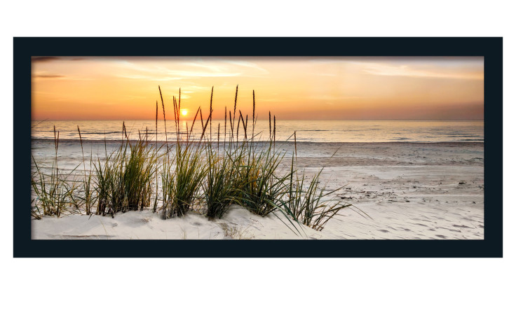 Rahmenbild Lonely Dune 60 x 130 cm
