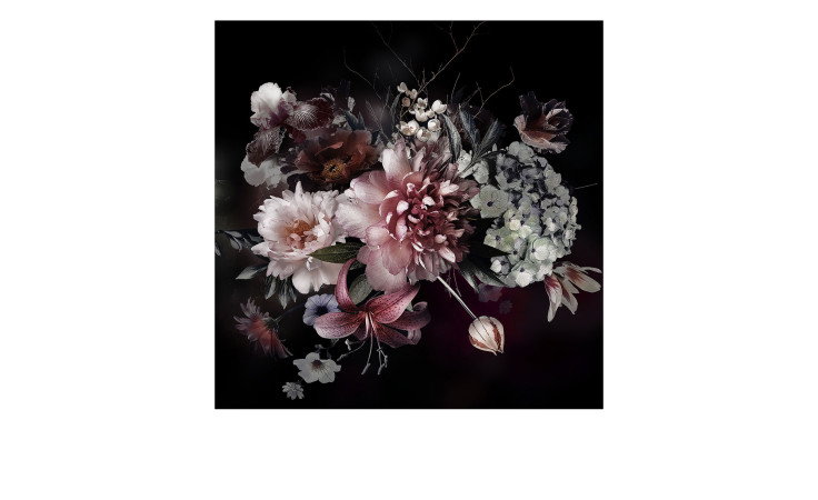 Alubild Baroque Roses 50 x 50 cm