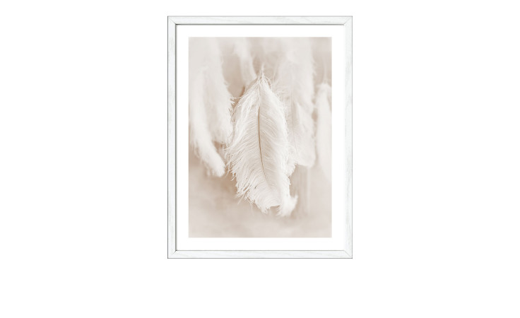 Rahmenbild The Feather 33 x 43 cm
