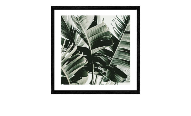 Rahmenbild Jungle Leaves 53 x 53 cm