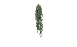 Sukkulenten-Hänger 82 cm