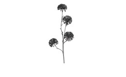 Fruchtstand 57 cm aus Kunststoff in schwarz.