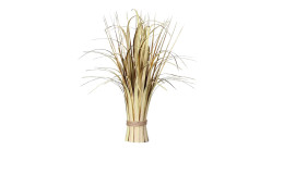 Stehgras 40 cm 