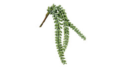 Sukkulenten-Hänger 38 cm aus Kunststoff in grün.
