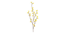 Forsythie 76 cm aus Kunststoff mit gelben Blüten und braunen Stiel.
