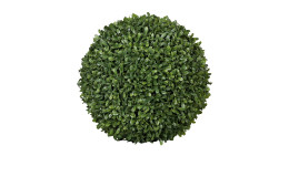 Buchskugel 30 cm