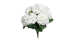 Hortensien-Busch 80 cm in weiß