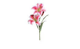 Lilie 78 cm in pink