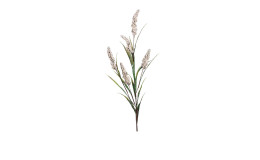 Fruchtstand 84 cm in beige