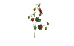 Himbeerzweig 44 cm 