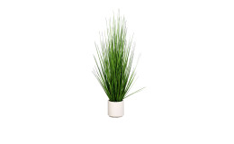 Gras 120 cm