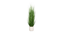 Gras 170 cm