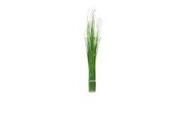 Stehgras 60 cm