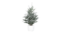 Tannenbaum 55 cm