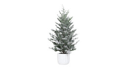 Tannenbaum 65 cm