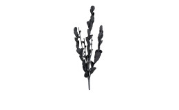 Eukalyptus 119 cm