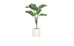 Monstera 110 cm