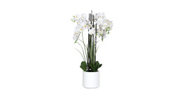 Orchideen-Arrangement 100 cm