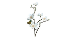 Magnolie 64 cm aus Kunststoff mit weißen Blüten und Applikationen, sowie einen braunen Stiel.