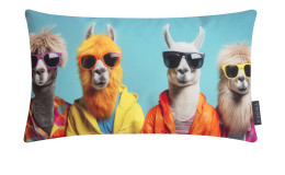 Kissenhülle Crazy Lama 30 x 50 cm