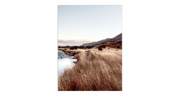 Glasbild Evening at the Lake 60 x 80 cm, Landschaft
