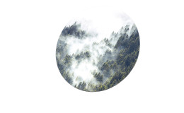Glasbild Mystic Forest 30 cm, Wald von oben