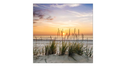 Glasbild Lonely Dune 20 x 20 cm. Glasbild mit dem Thema - Strand und Meer.