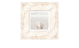 Rahmenbild At the Coast 34 x 34 cm. Rahmenbild mit dem Thema - Muschel am Strand.