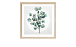 Rahmenbild Different Eucalyptus Br. 33 x 33 cm