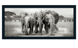 Rahmenbild Elephant Herd 60 x 130 cm